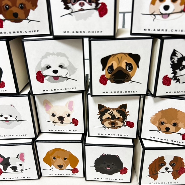 【母の日限定BOX】イヌとネコから選べるタオルハンカチ