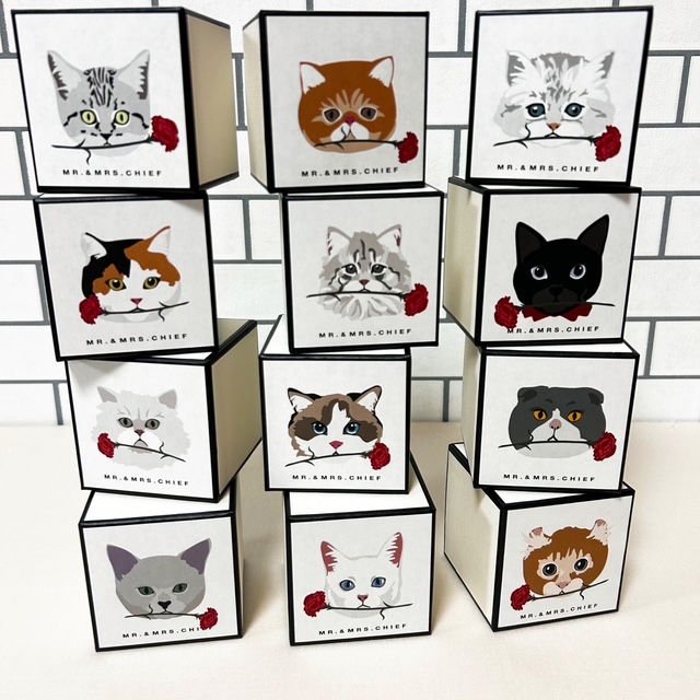 【母の日限定BOX】イヌとネコから選べるタオルハンカチ