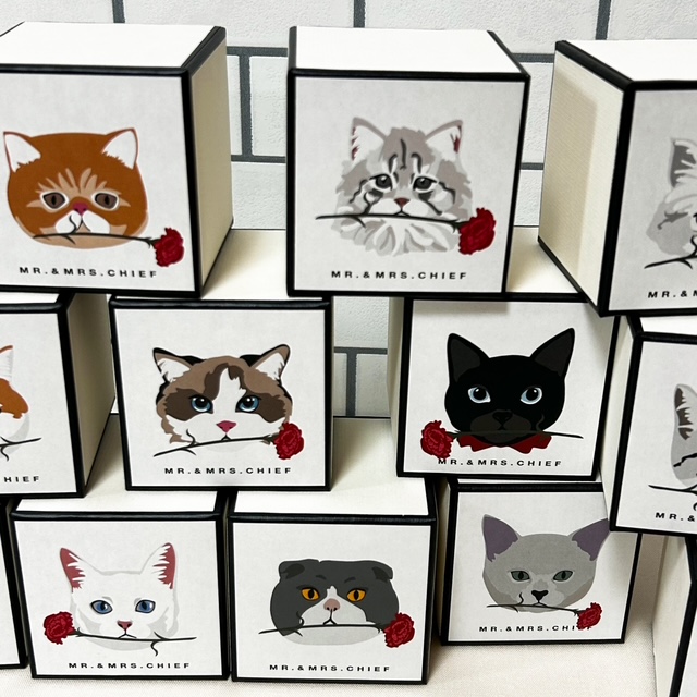 【母の日限定BOX】イヌとネコから選べるタオルハンカチ