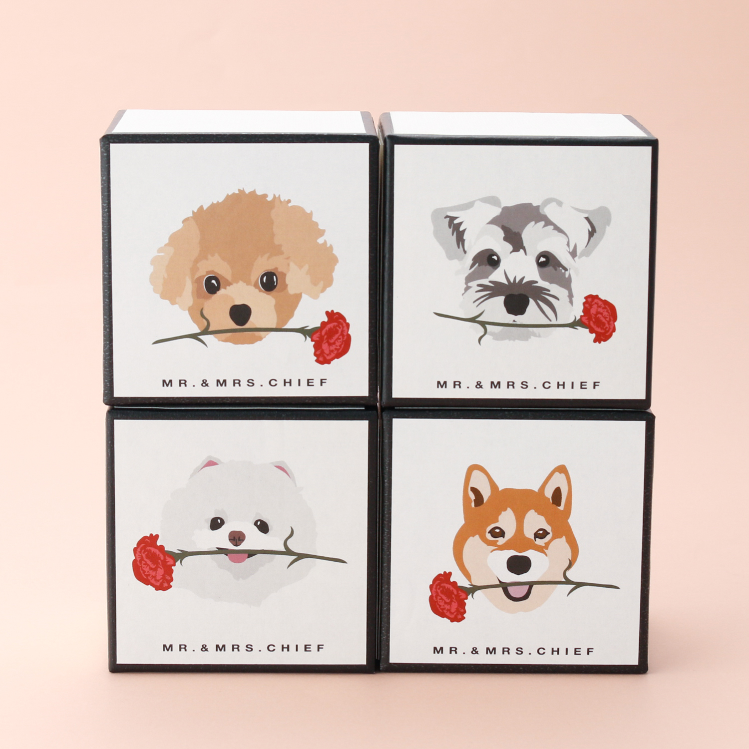 【母の日限定BOX】イヌとネコから選べるタオルハンカチ