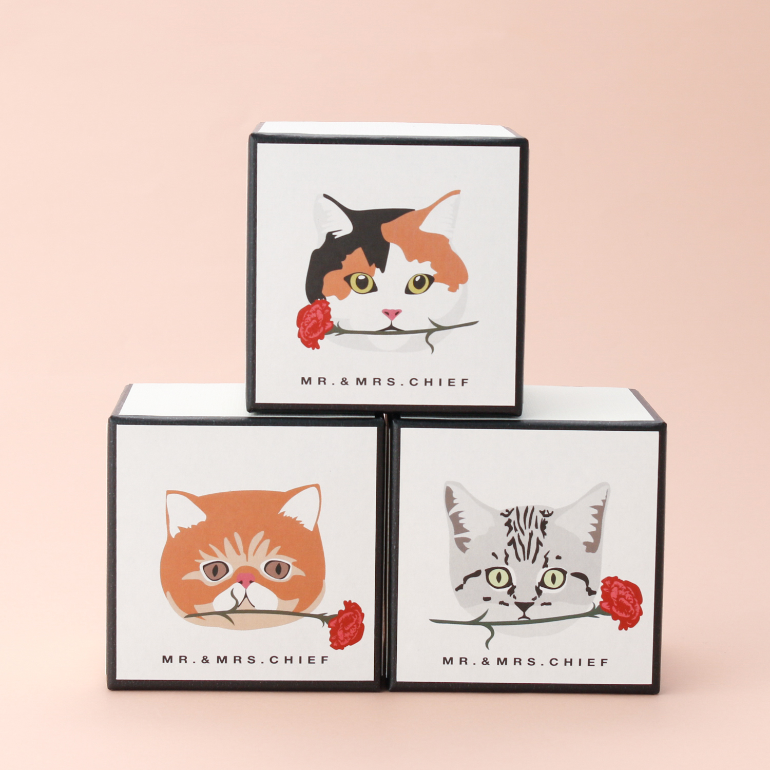 【母の日限定BOX】イヌとネコから選べるタオルハンカチ