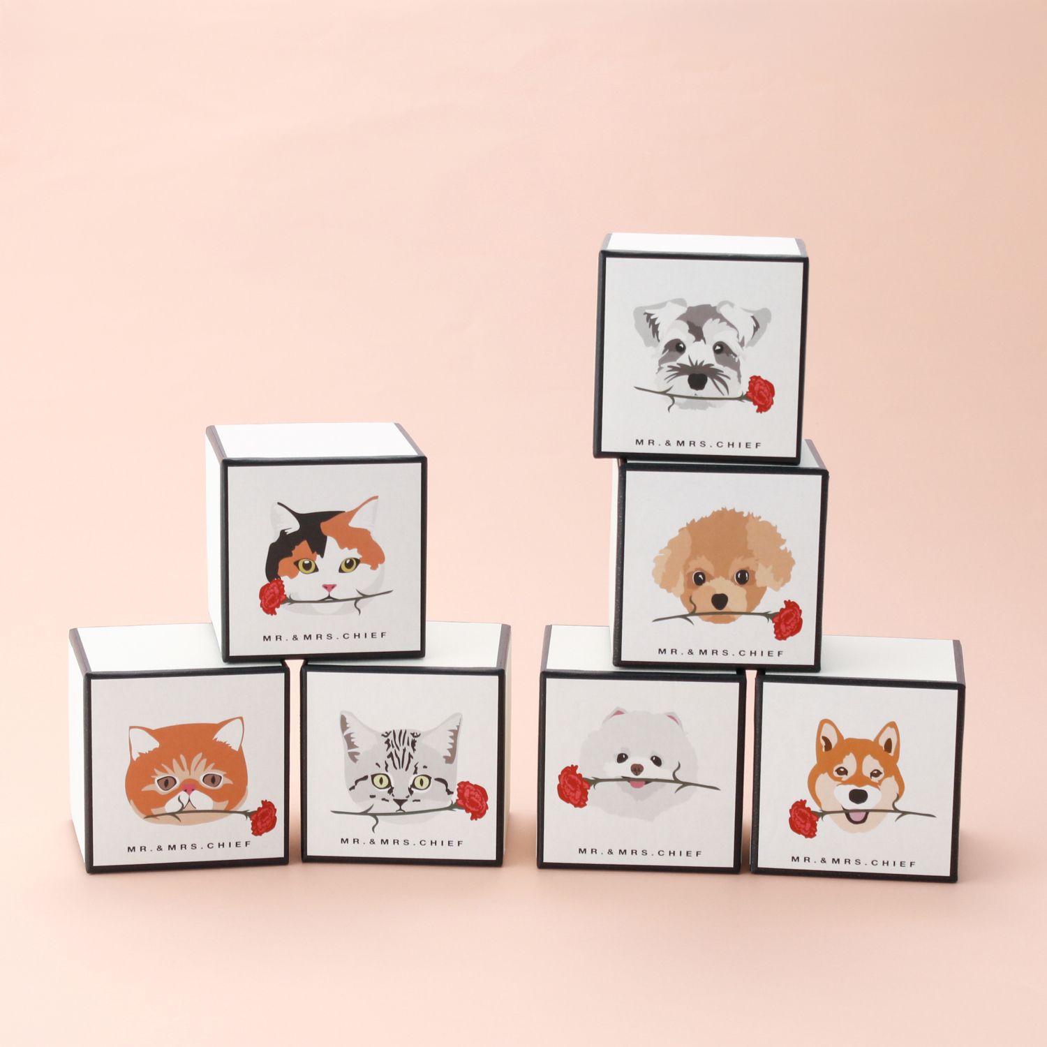 母の日限定BOX】イヌとネコから選べるタオルハンカチ | MR. & MRS