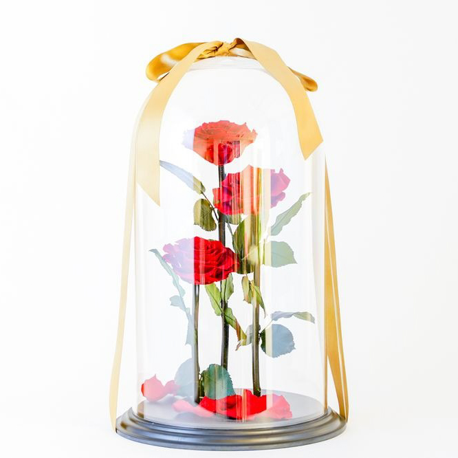 【DESTINY ROSE】3本立ち