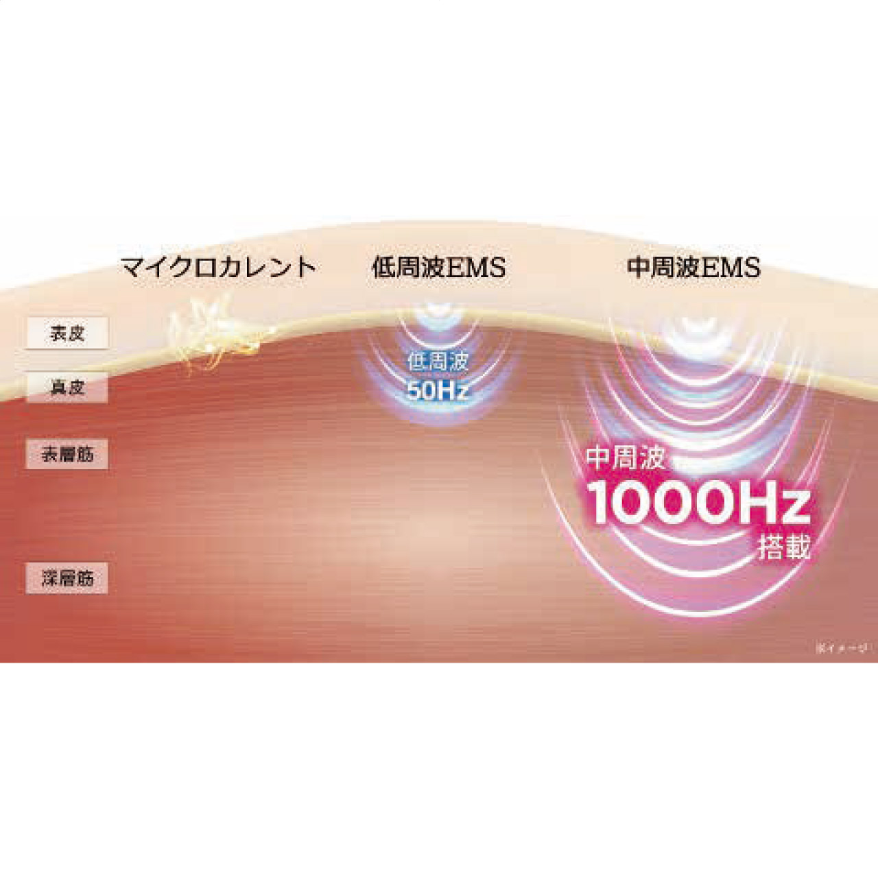 ミーゼ　ニードルリフトブラシ