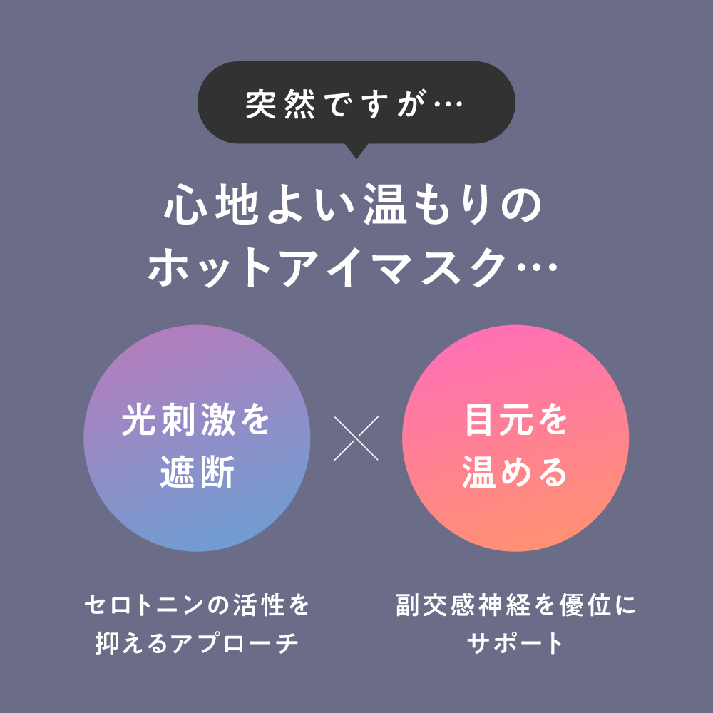 充電式ホットアイマスク ねるともコレクション