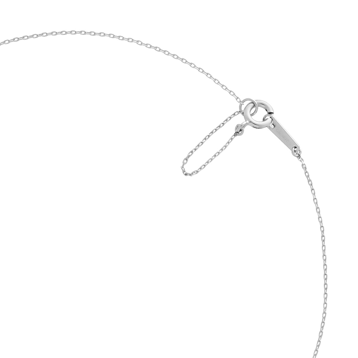 【Spring Limited】シルバー ネモフィラ ネックレス