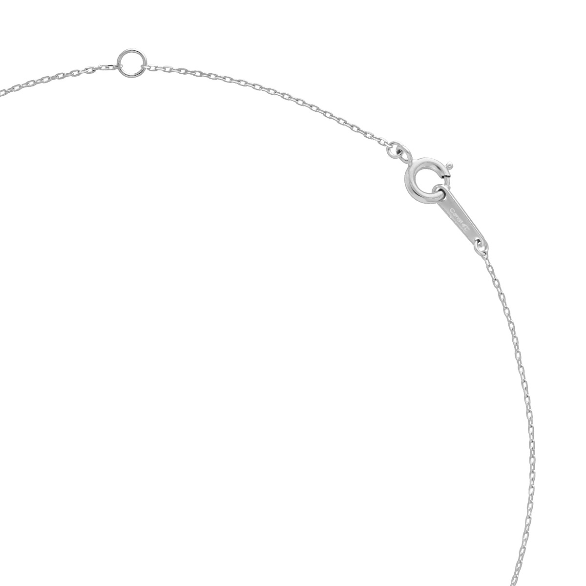 【Spring Limited】シルバー ネモフィラ ネックレス