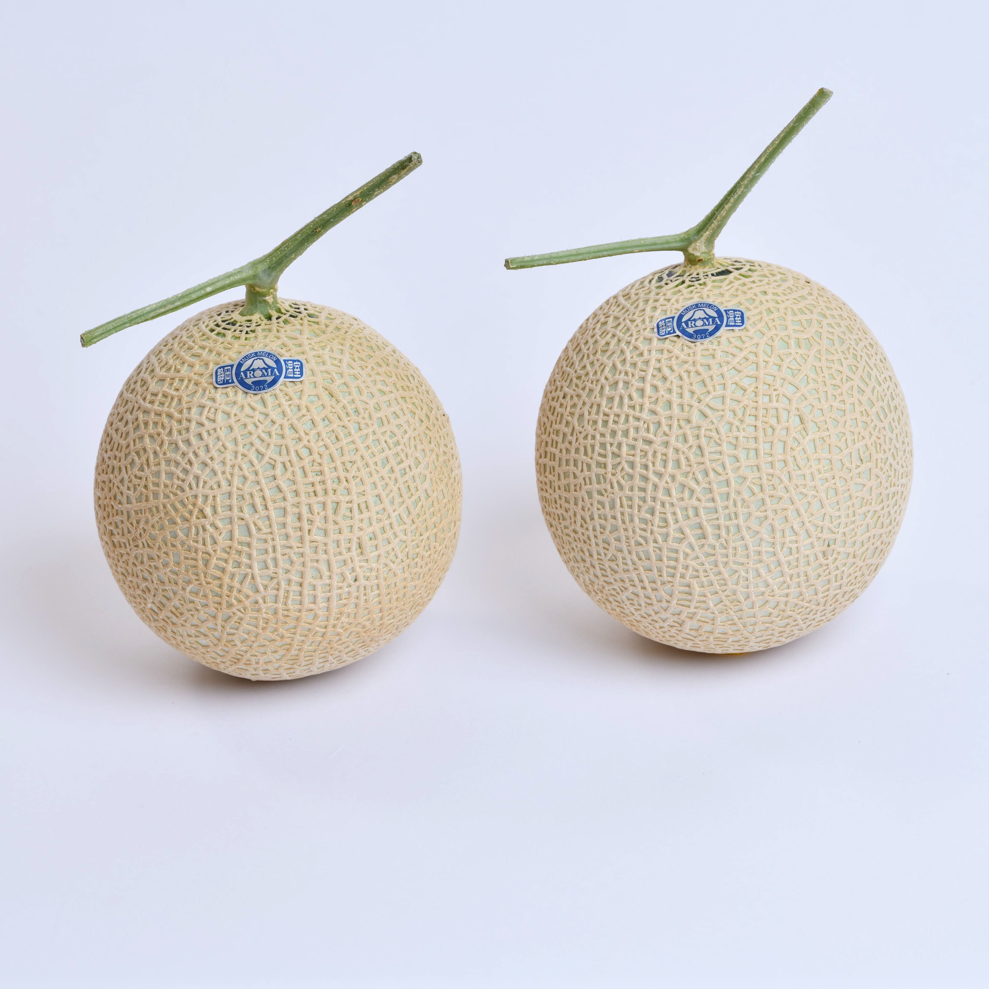 クラウンメロン　山2玉