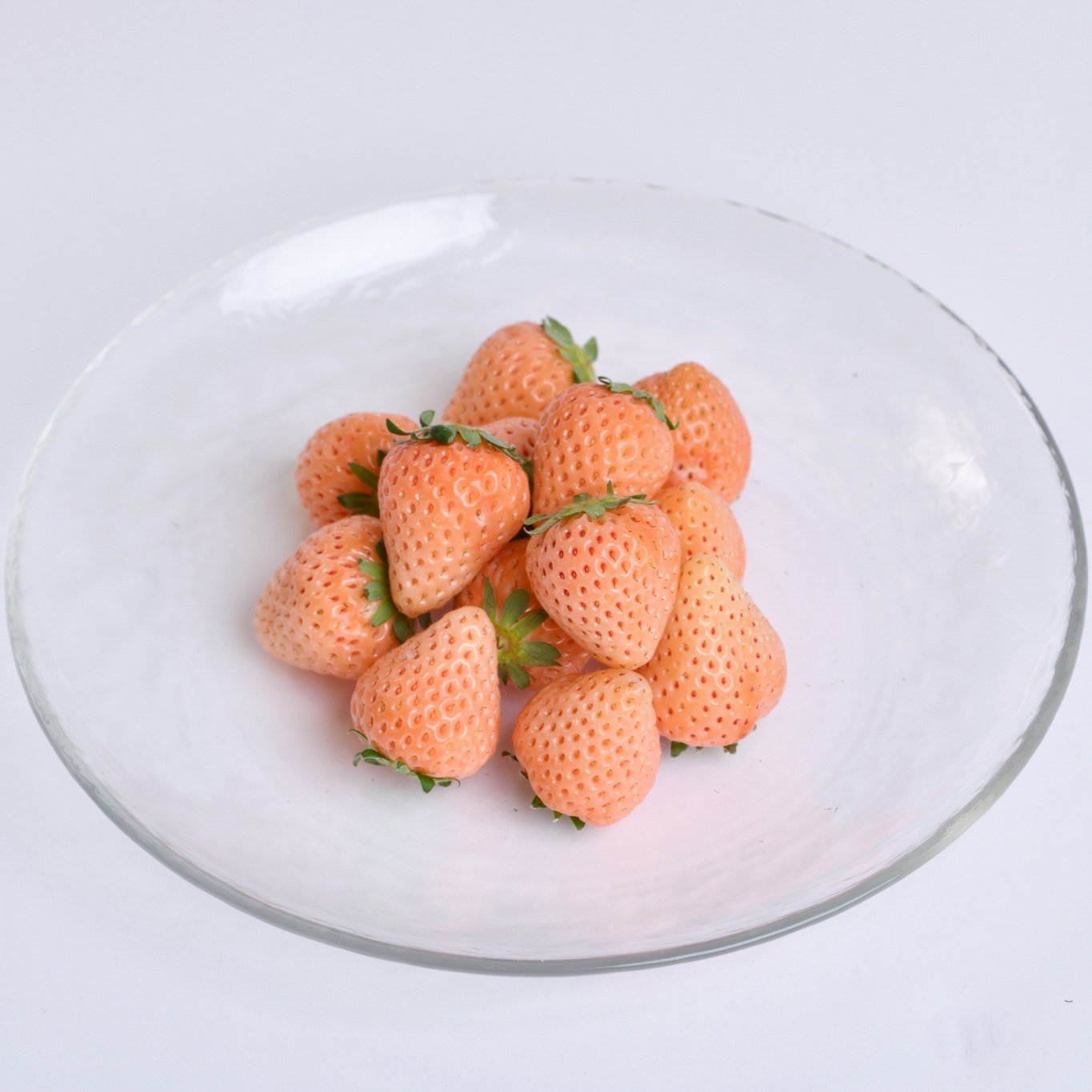赤いちごとピンクいちご18粒 宝石箱シリーズ