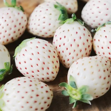 いちご3色36粒 宝石箱シリーズ