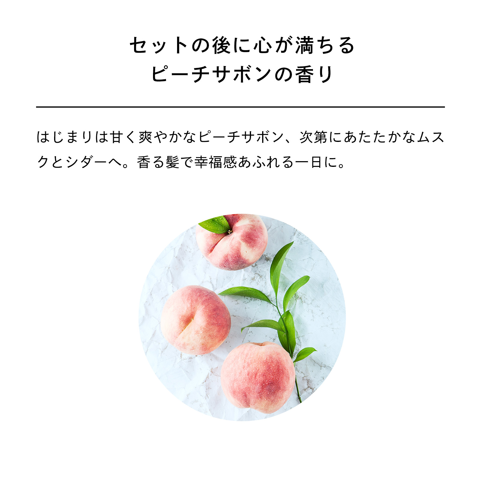 リファハートブラシ＆ヘアミストセット