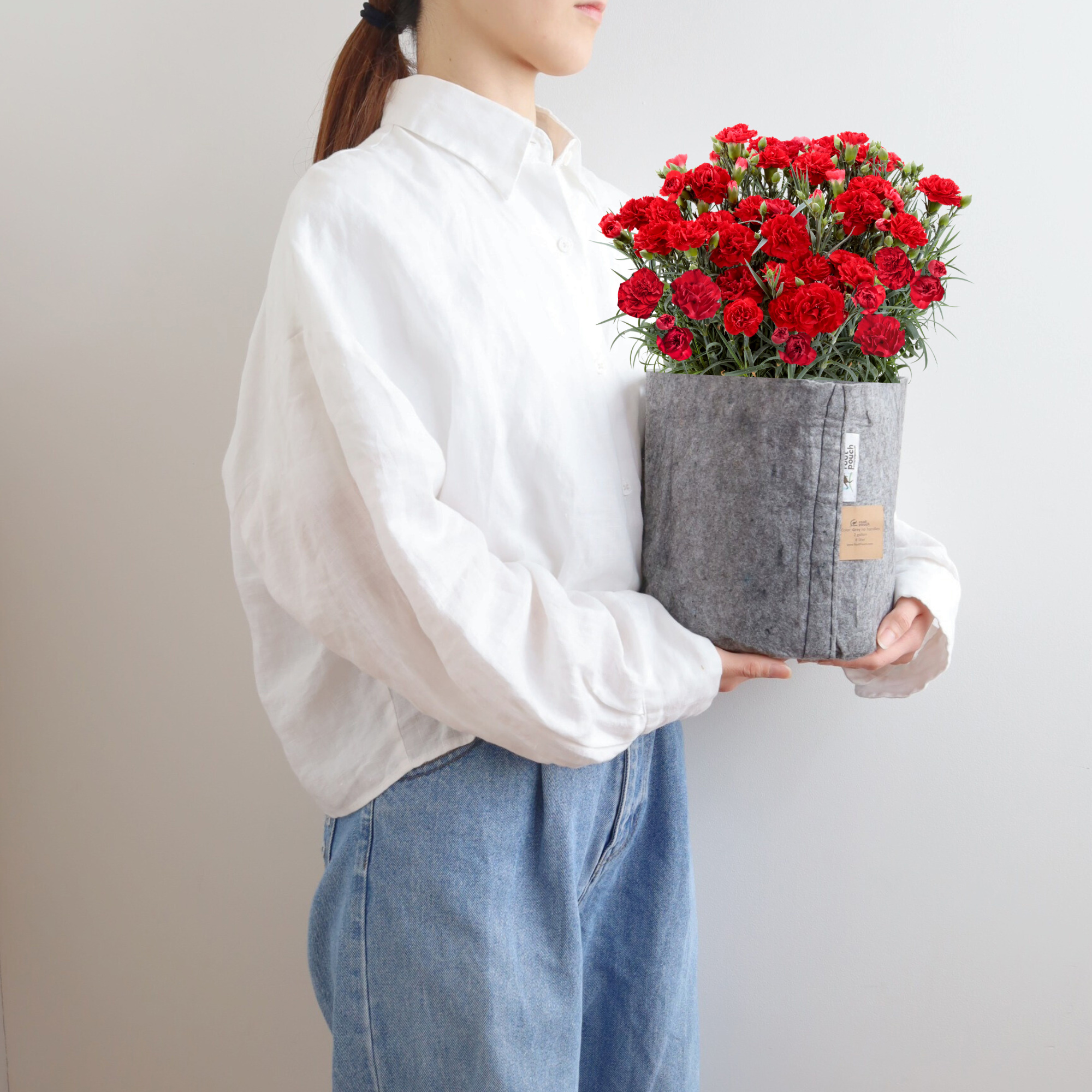 【母の日】カーネーション〈赤〉