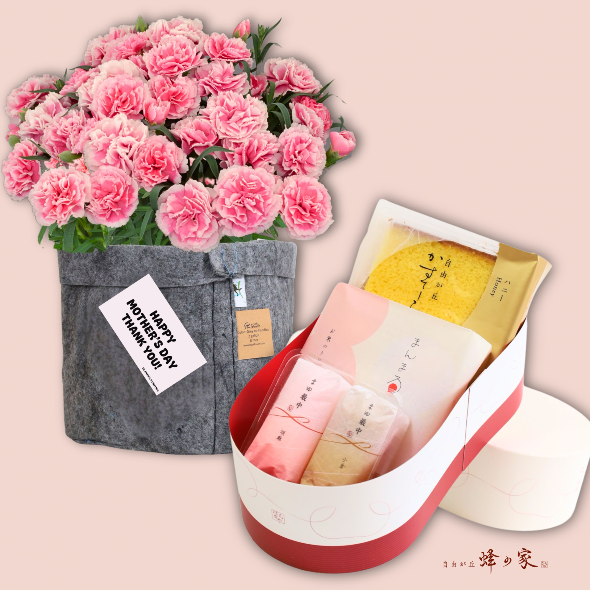 【母の日】蜂の家 和菓子詰合せとカーネーションセット