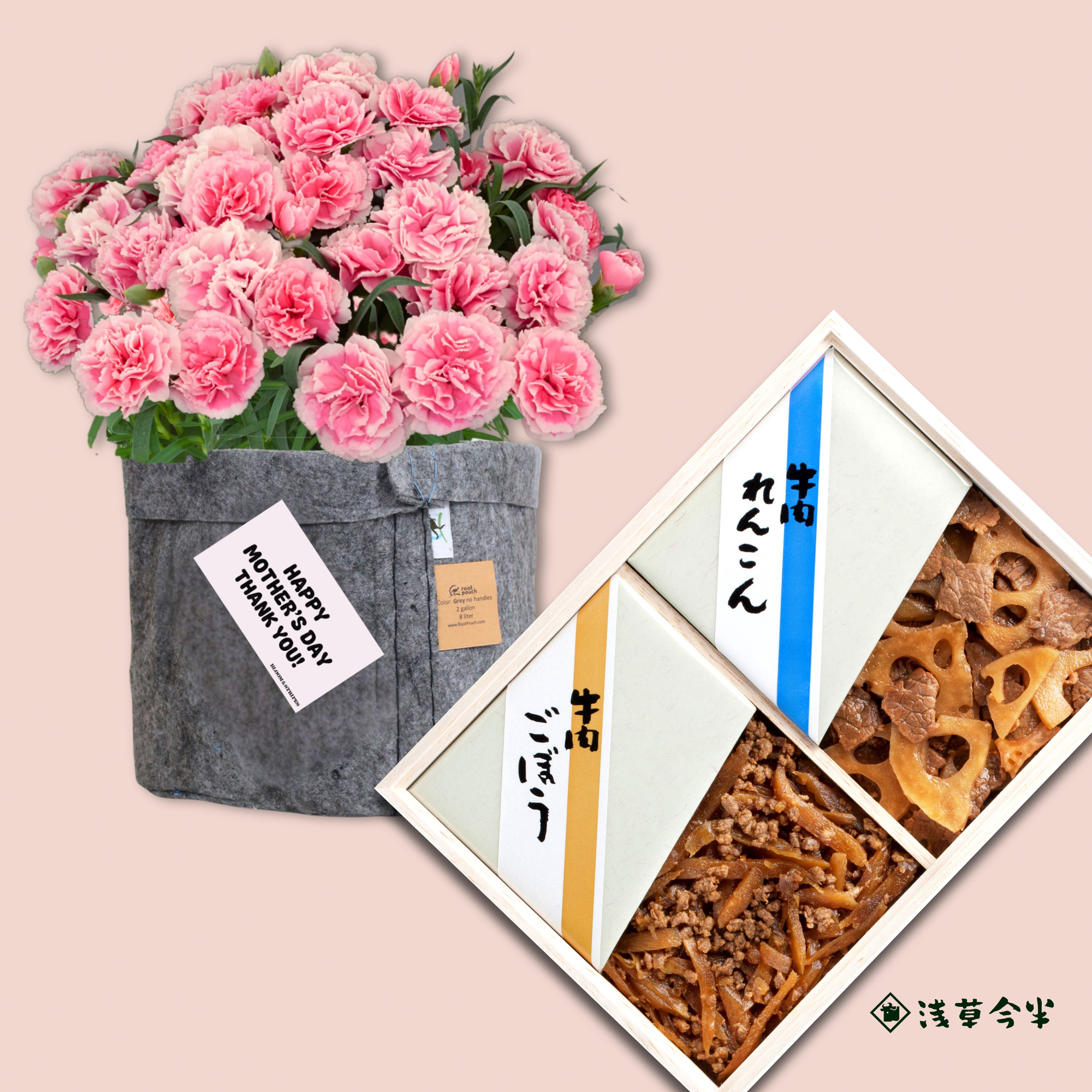 【母の日】浅草今半 牛肉佃煮とカーネーションセット