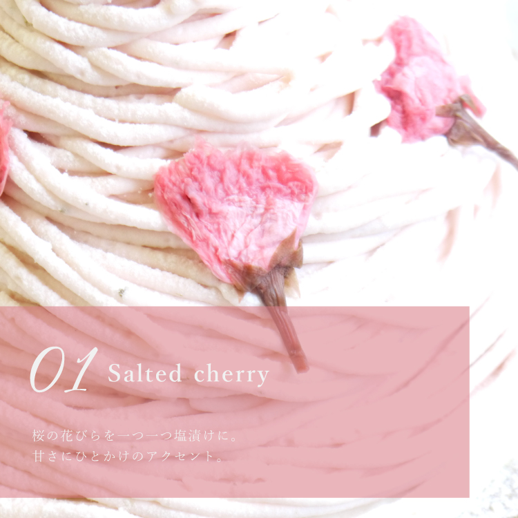 バースデー専用 プレート付き さくらちーずたると