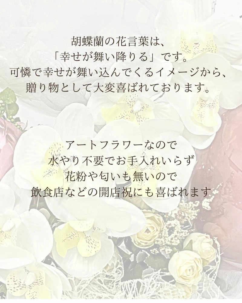 胡蝶蘭1本立ち 大人の名入れバルーン&フラワーギフト