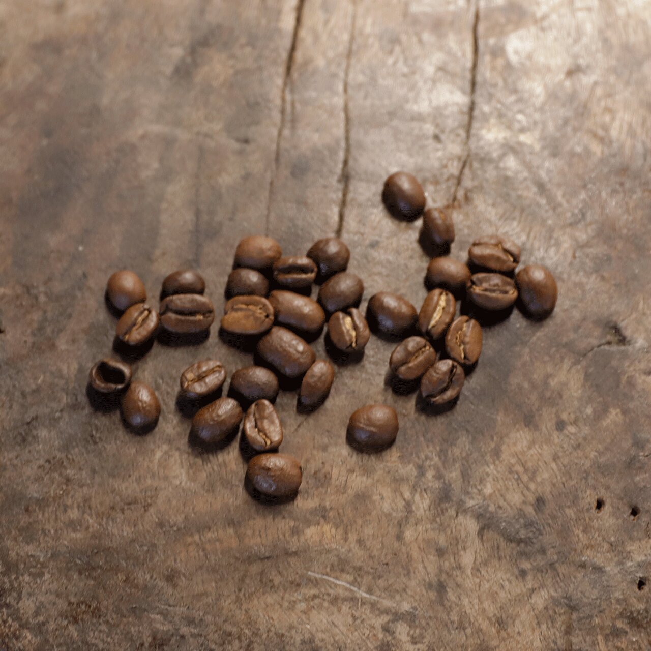 コーヒーバッグ │ ディップ式・10袋ギフト