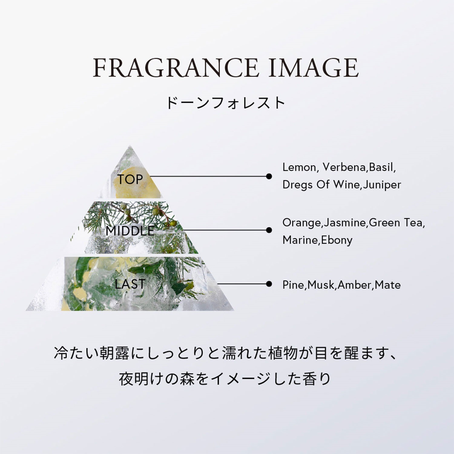 【数量限定】セルヴォーク リブート ボディミスト N