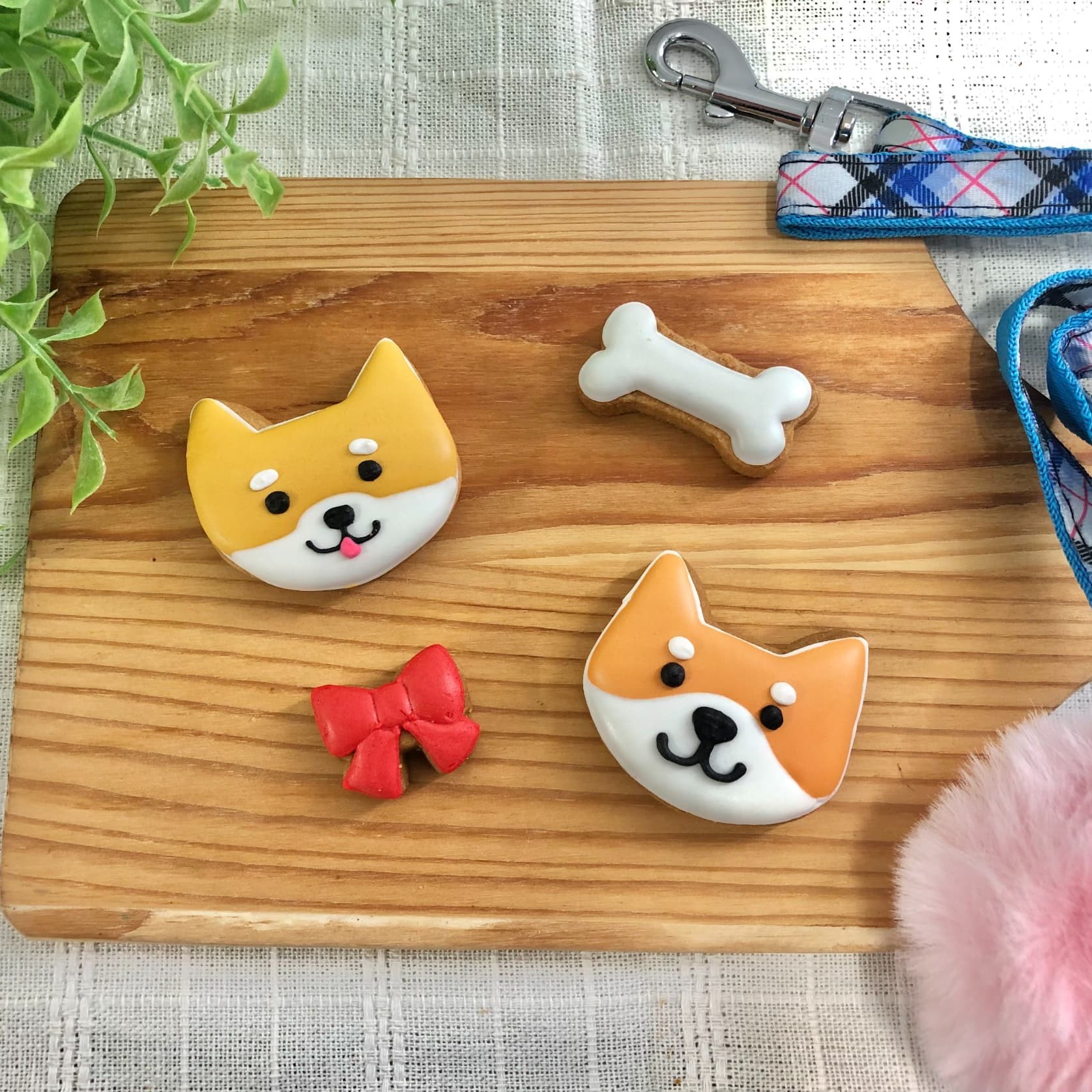 犬ver カラフルで可愛いアイシングクッキー缶