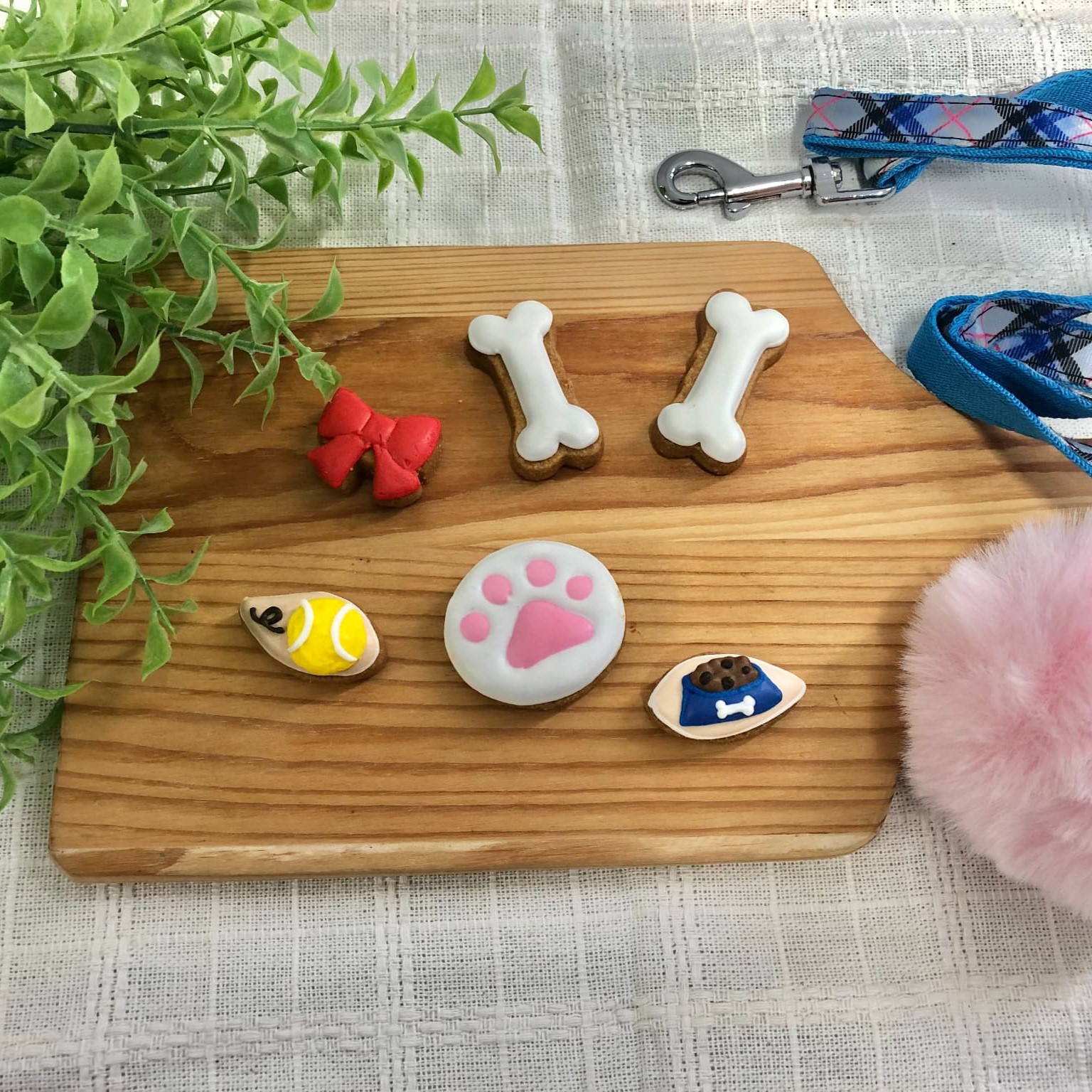 犬ver カラフルで可愛いアイシングクッキー缶