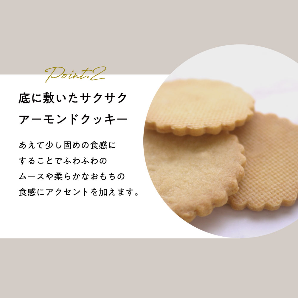 【掛け紙・熨斗付き】うさもっち 6個ボックス