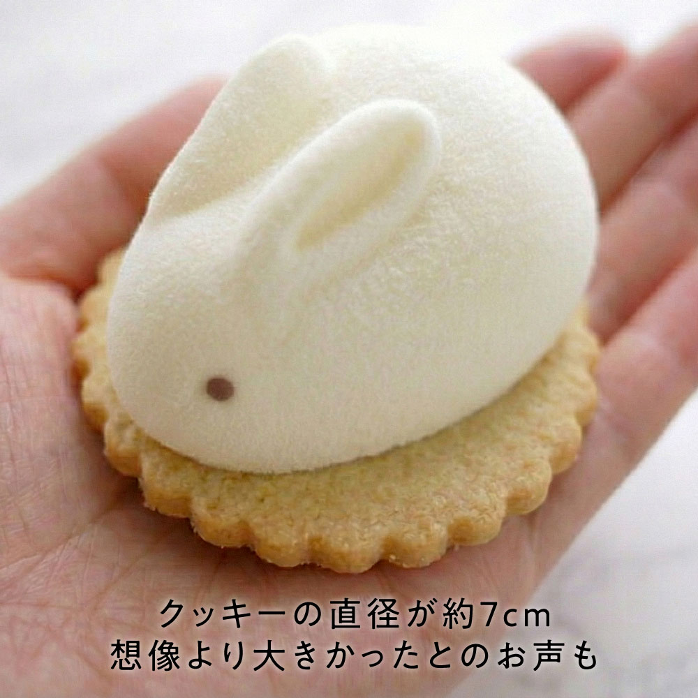 【掛け紙・熨斗付き】うさもっち 6個ボックス