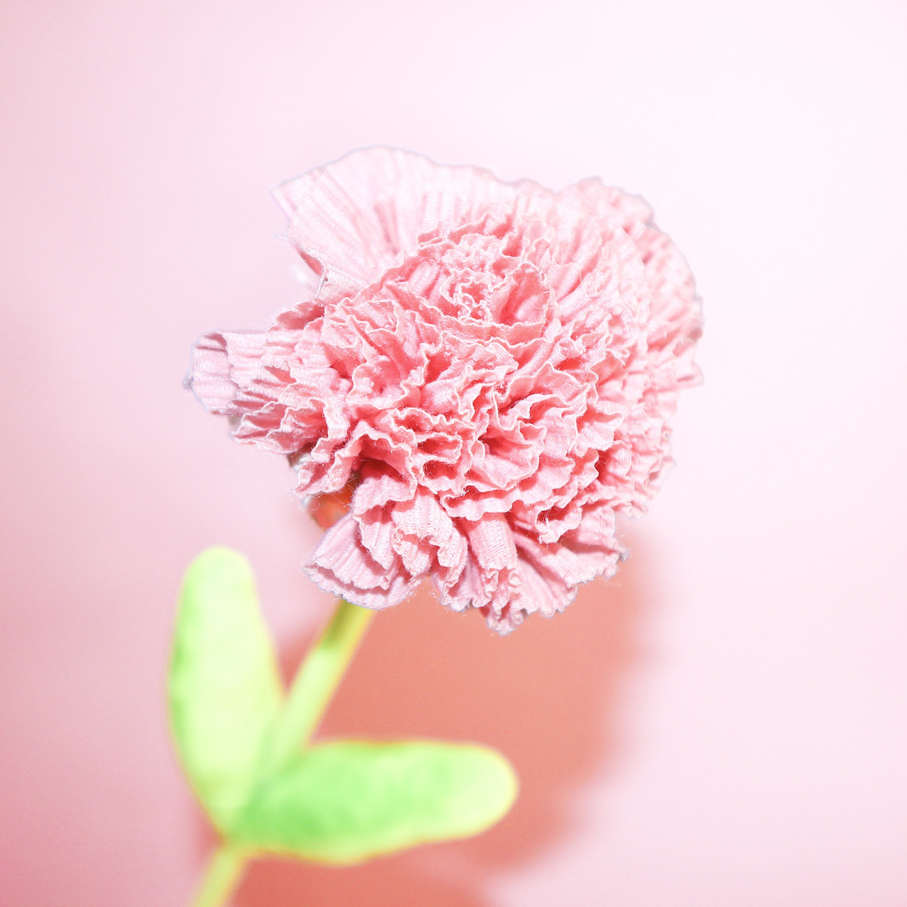 【母の日】お花パラソル karendo×ホラグチカヨ コラボ＆フラフル 母の日カーネーションケース付きset