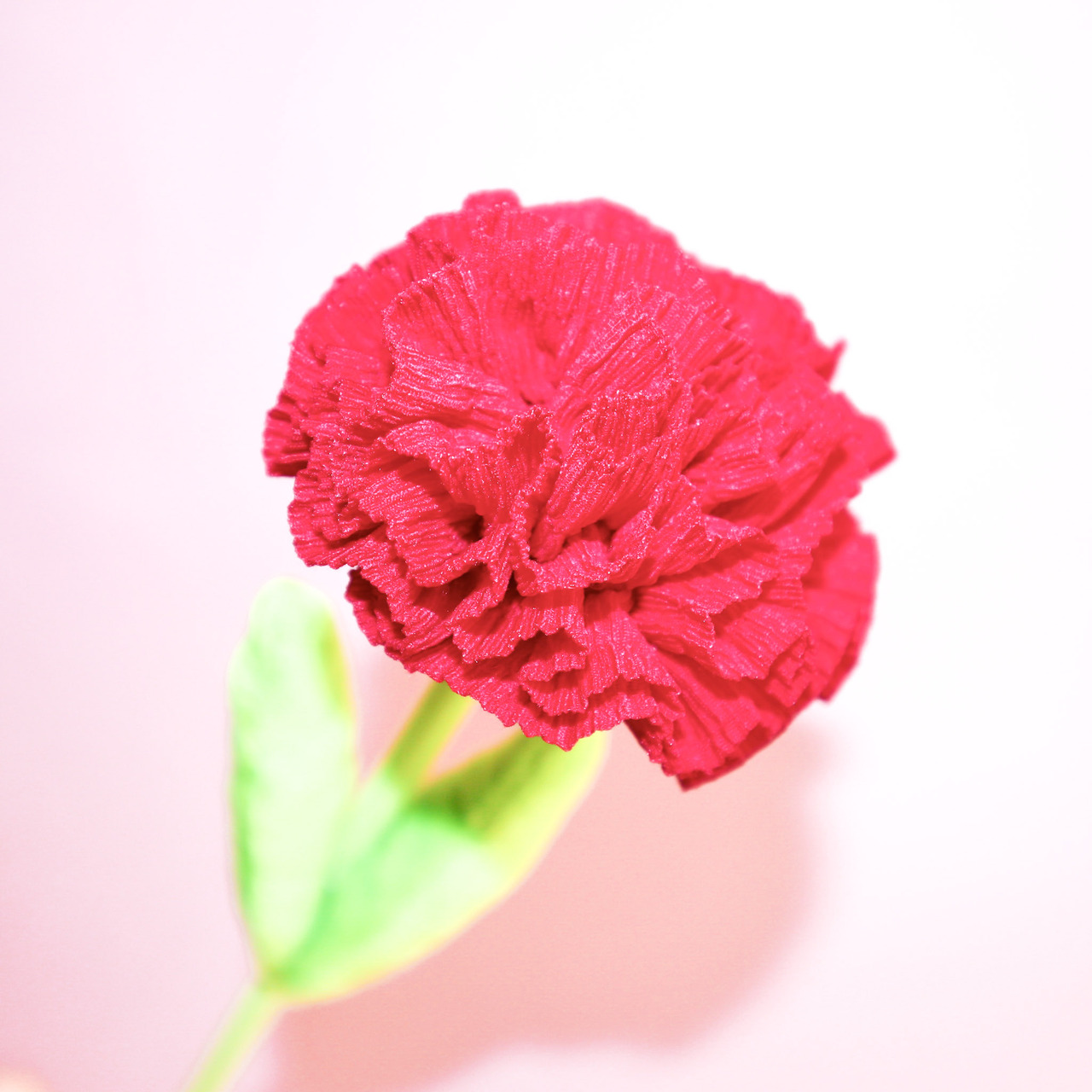 【母の日】お花パラソル karendo×ホラグチカヨ コラボ＆フラフル 母の日カーネーションケース付きset