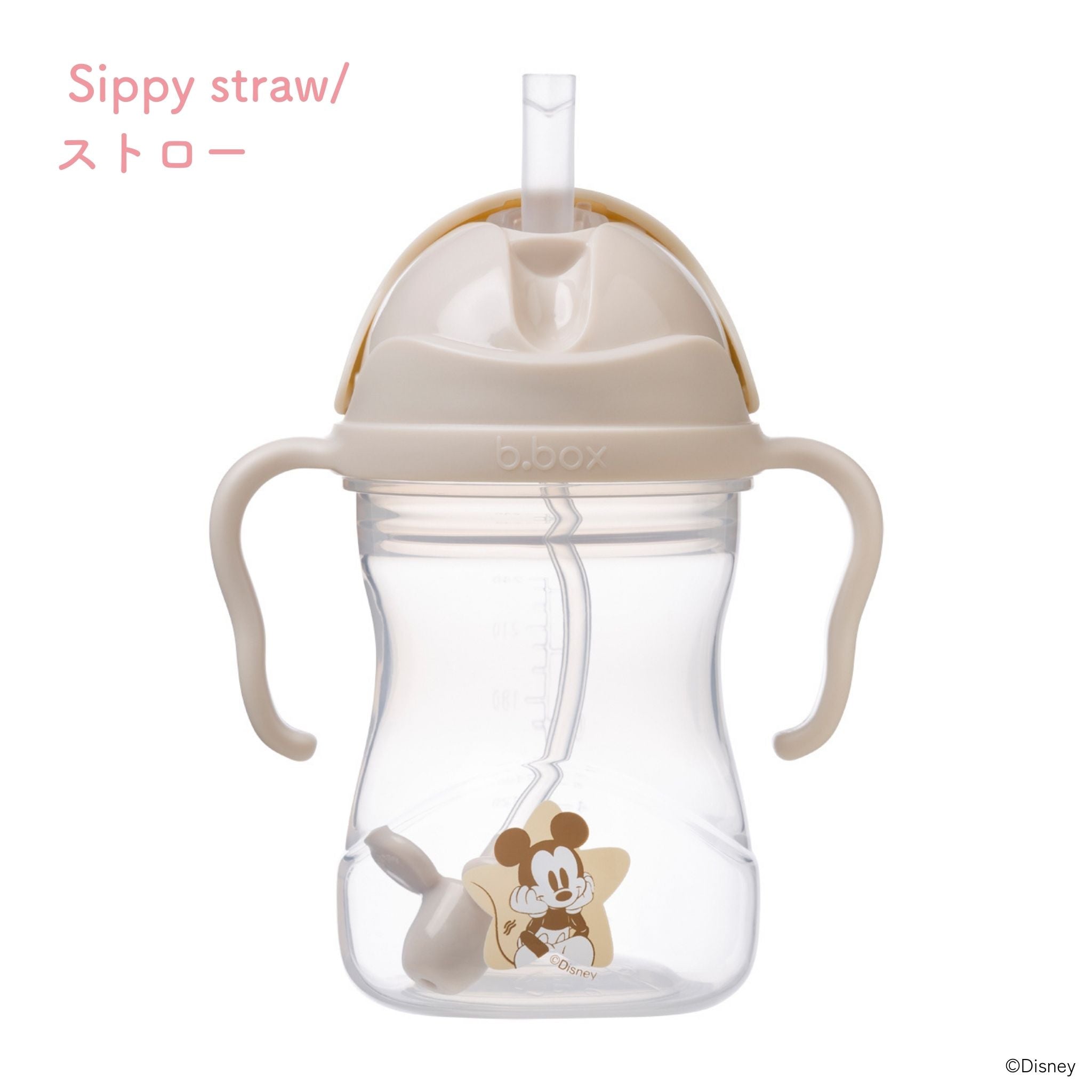 Disney Transition value pack ディズニーステップアップマグパック