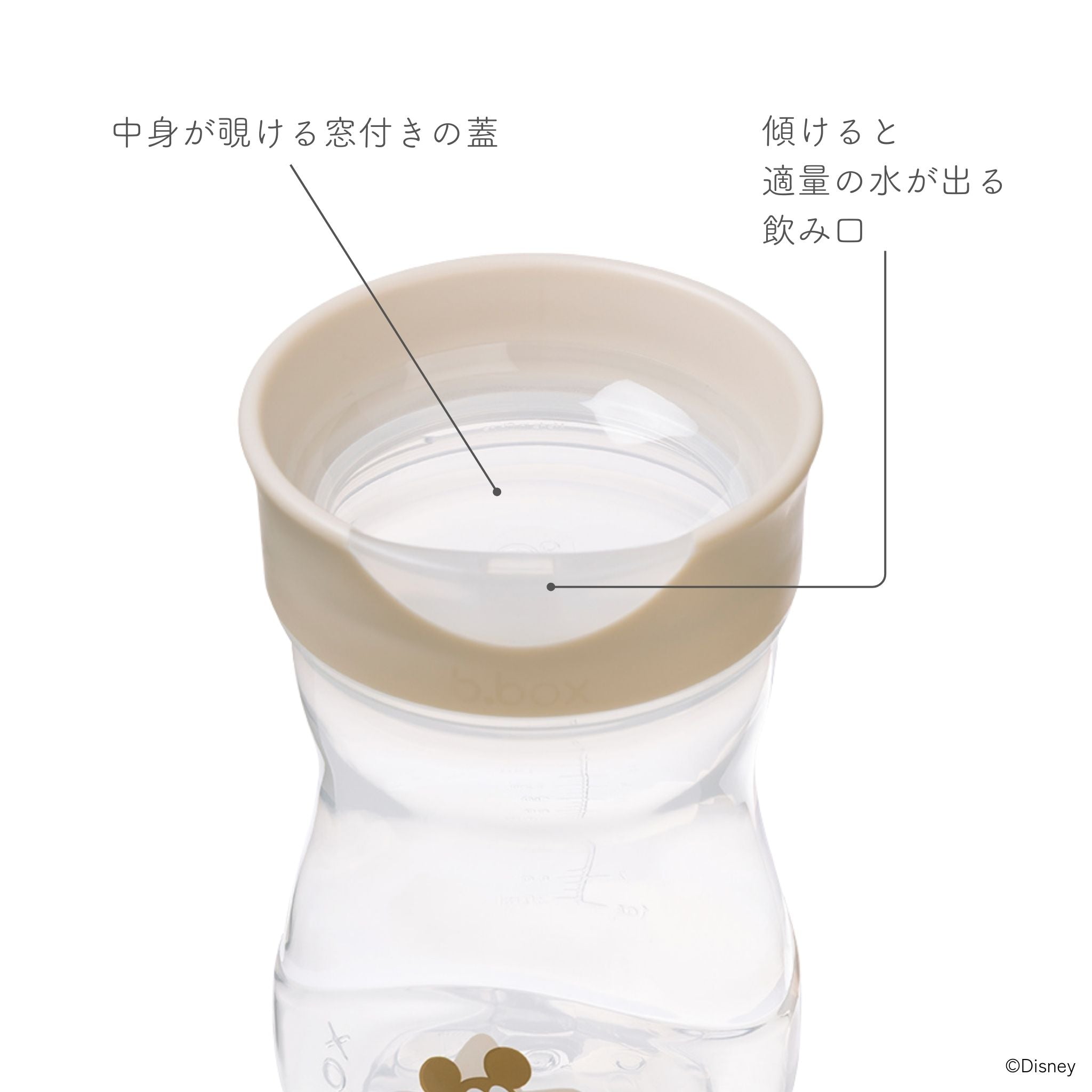 Disney Transition value pack ディズニーステップアップマグパック