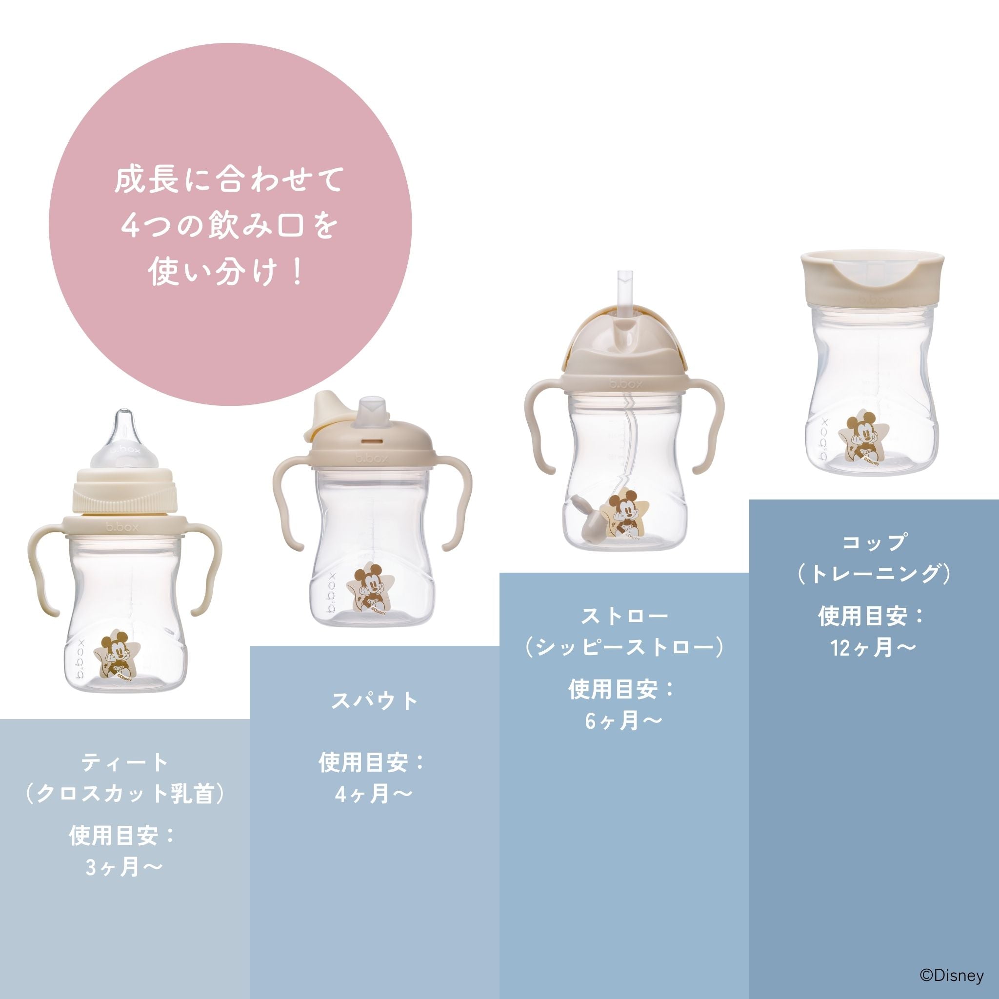 Disney Transition value pack ディズニーステップアップマグパック