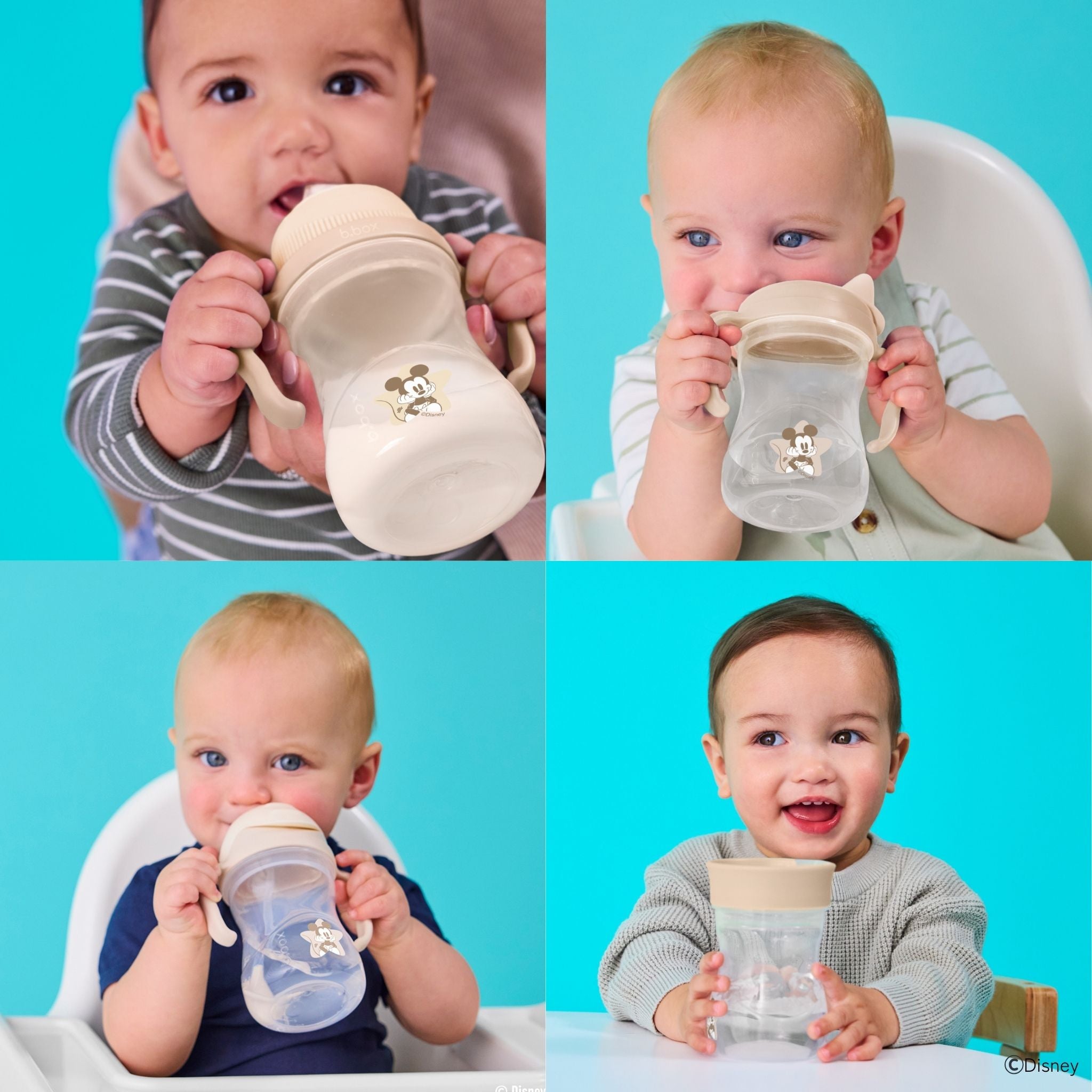 Disney Transition value pack ディズニーステップアップマグパック