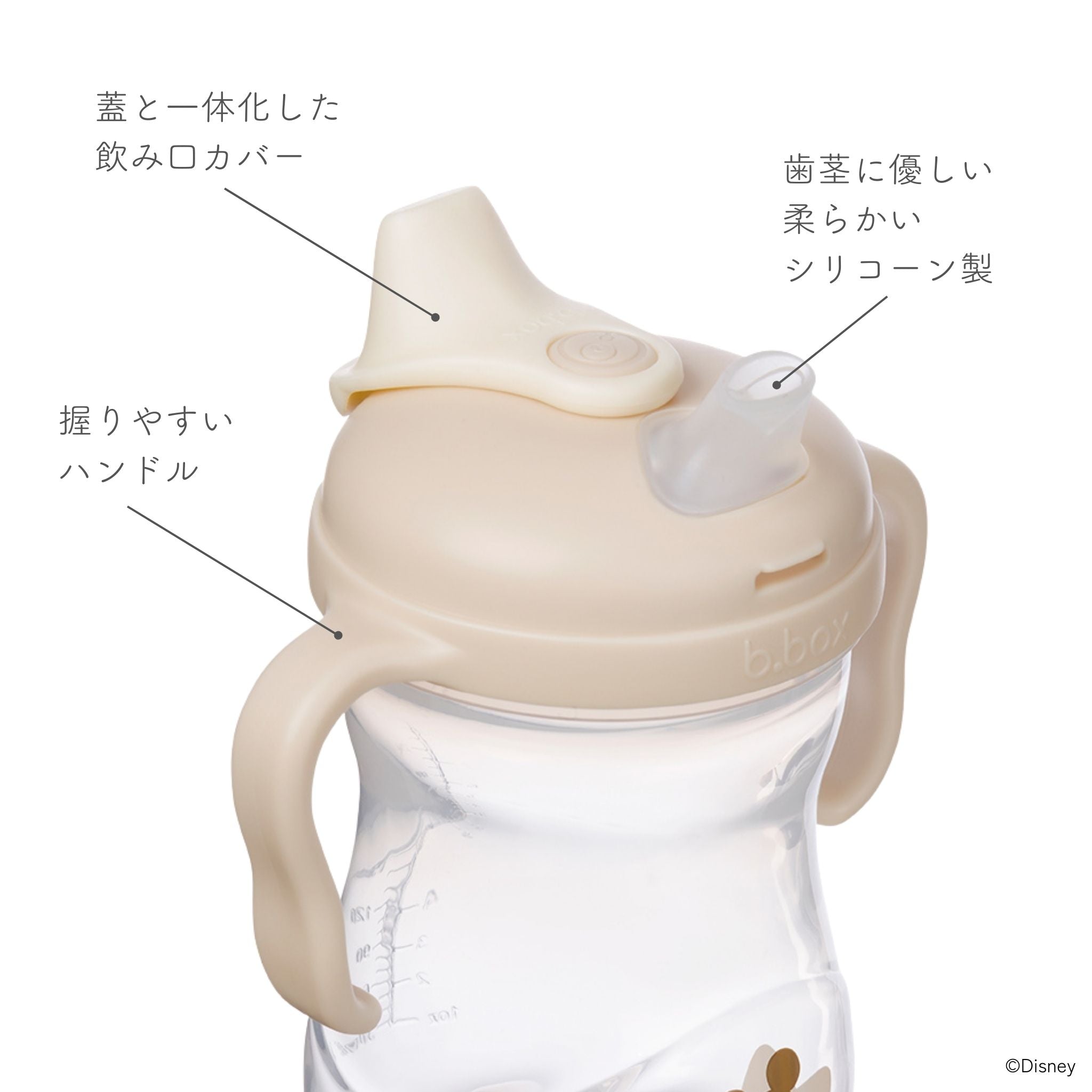 Disney Transition value pack ディズニーステップアップマグパック