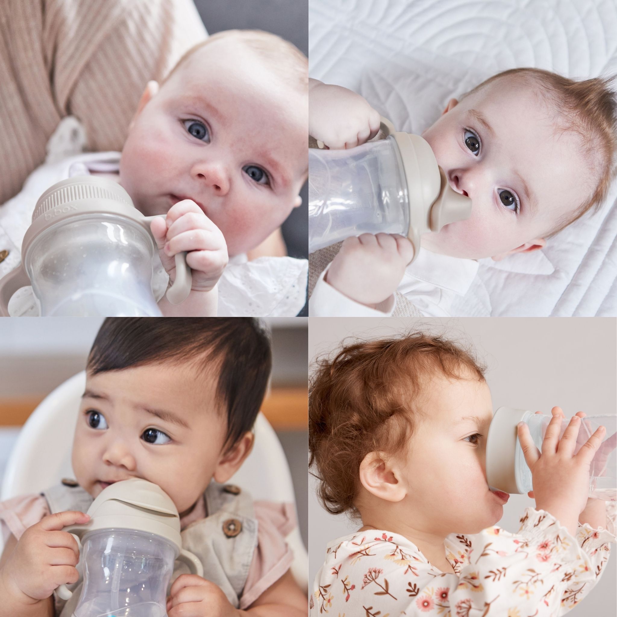 Transition value pack ステップアップマグパック