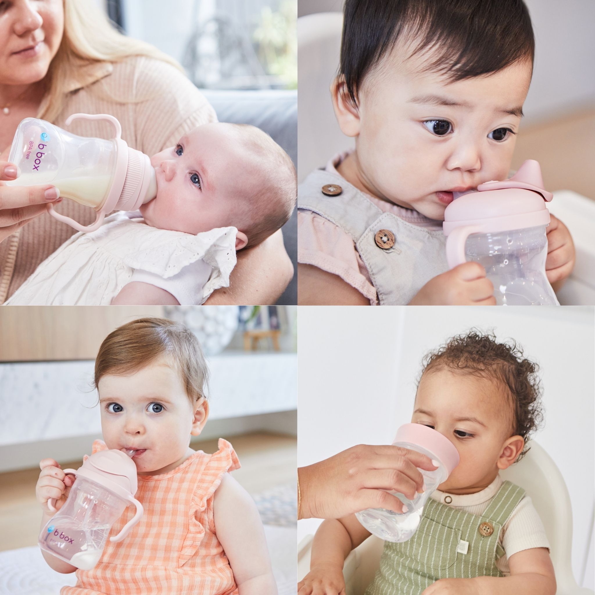 Transition value pack ステップアップマグパック