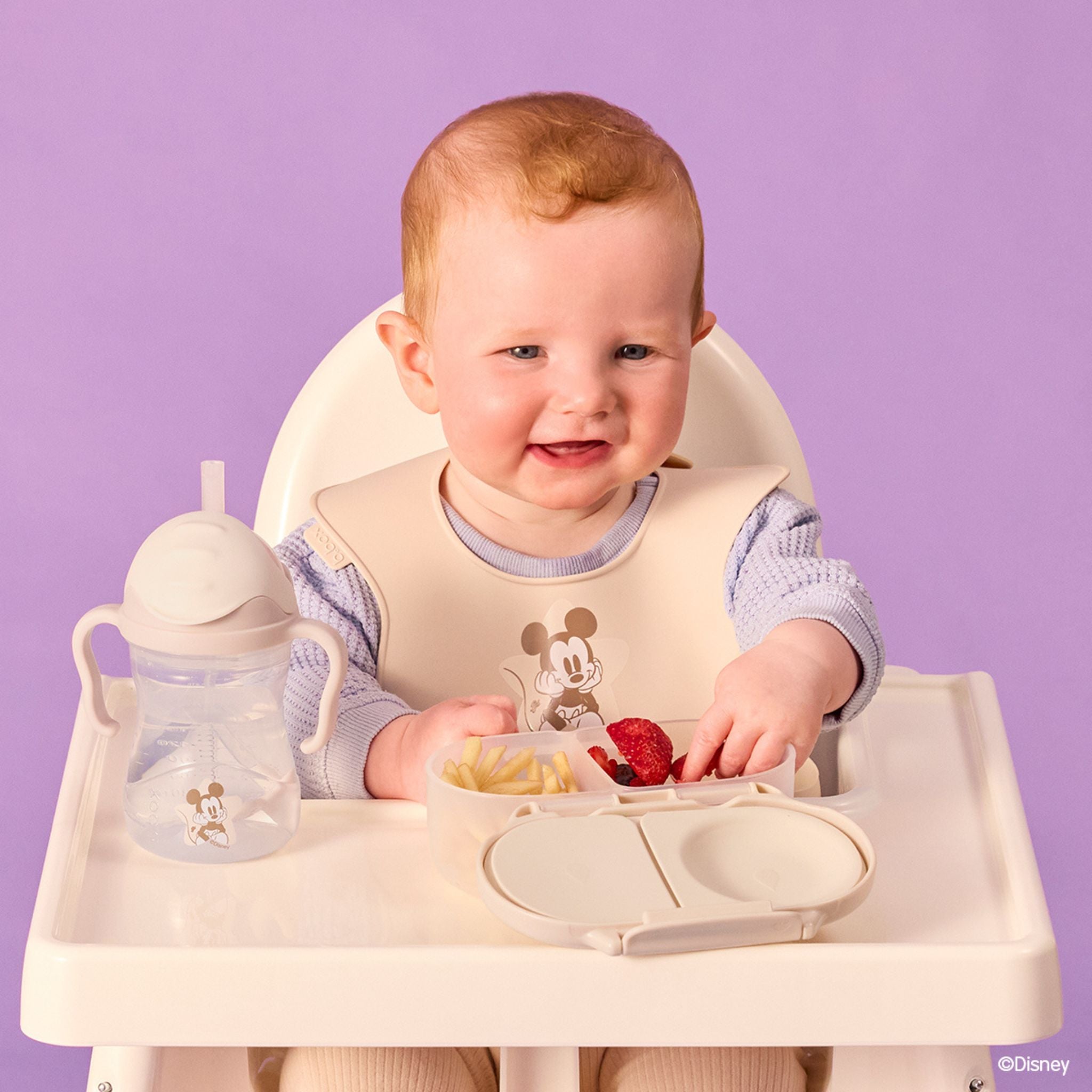 Disney Silicone Bib ディズニーシリコンビブ