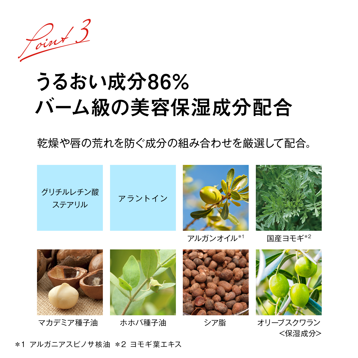 江原道 スティックルージュ グロッシーカラーバーム ギフトBOX入り