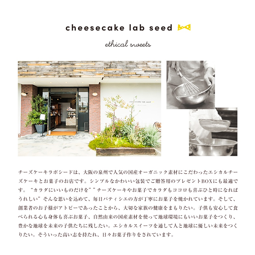 レイヤーチーズケーキ 3個入り 3種類 国産 グルテンフリー 瓶詰 seed