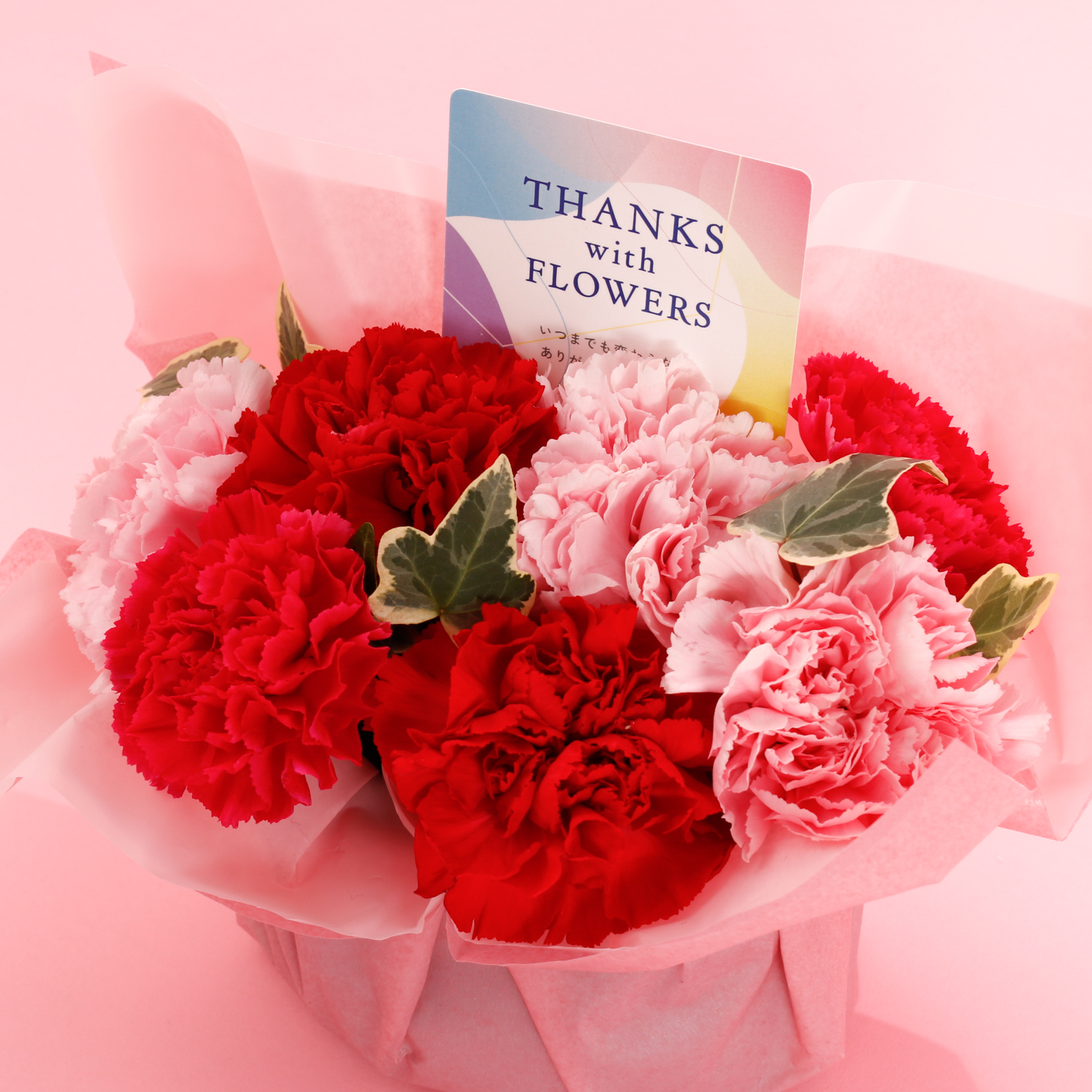 【母の日に感謝を贈る】選べる母の日限定生花＆Thank Youタンブラー