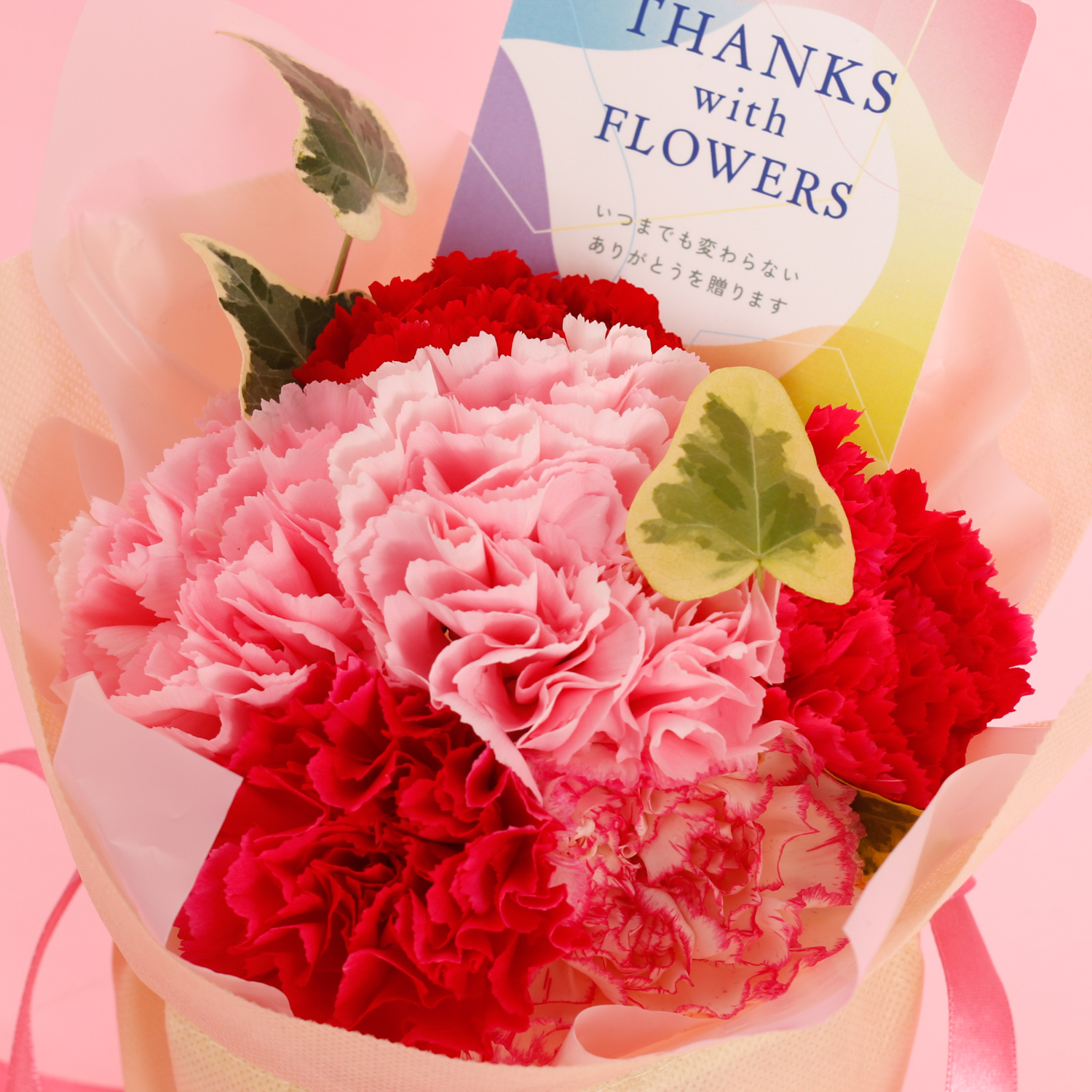 【Mother's DAY】選べる母の日限定生花＆オリジナルバスボム9個入り