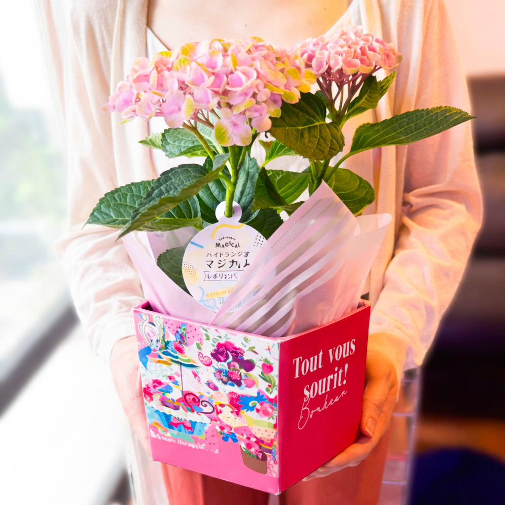 【Mother's DAY】選べる母の日限定生花＆オリジナルバスボム9個入り