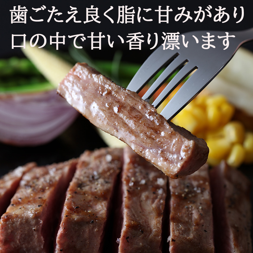 【究極の塊肉】濃厚なコク 鹿児島黒豚 肩ロース ブロック