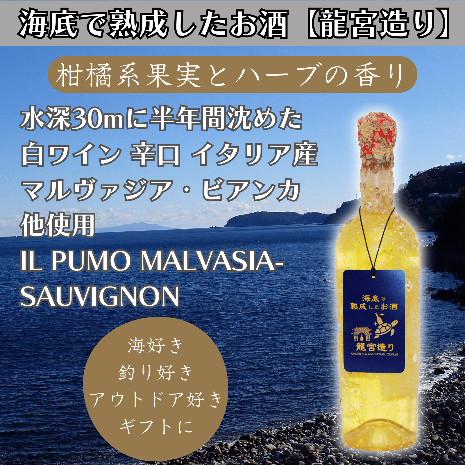 【柑橘系果実とハーブの香り】海底で熟成した白ワイン イタリア産 辛口 IL PUMO MALVASIA-SAUVIGNON