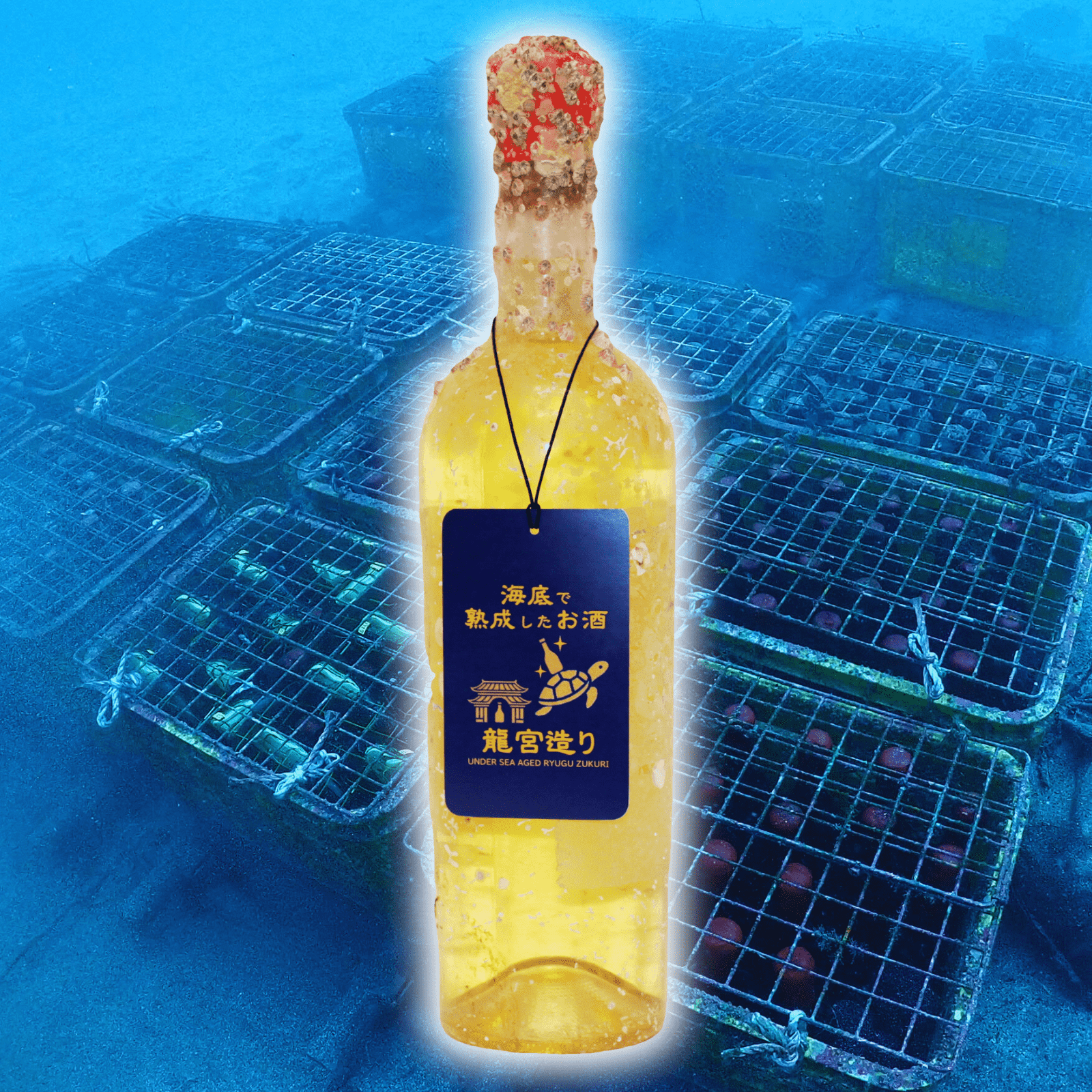 【柑橘系果実とハーブの香り】海底で熟成した白ワイン イタリア産 辛口 IL PUMO MALVASIA-SAUVIGNON
