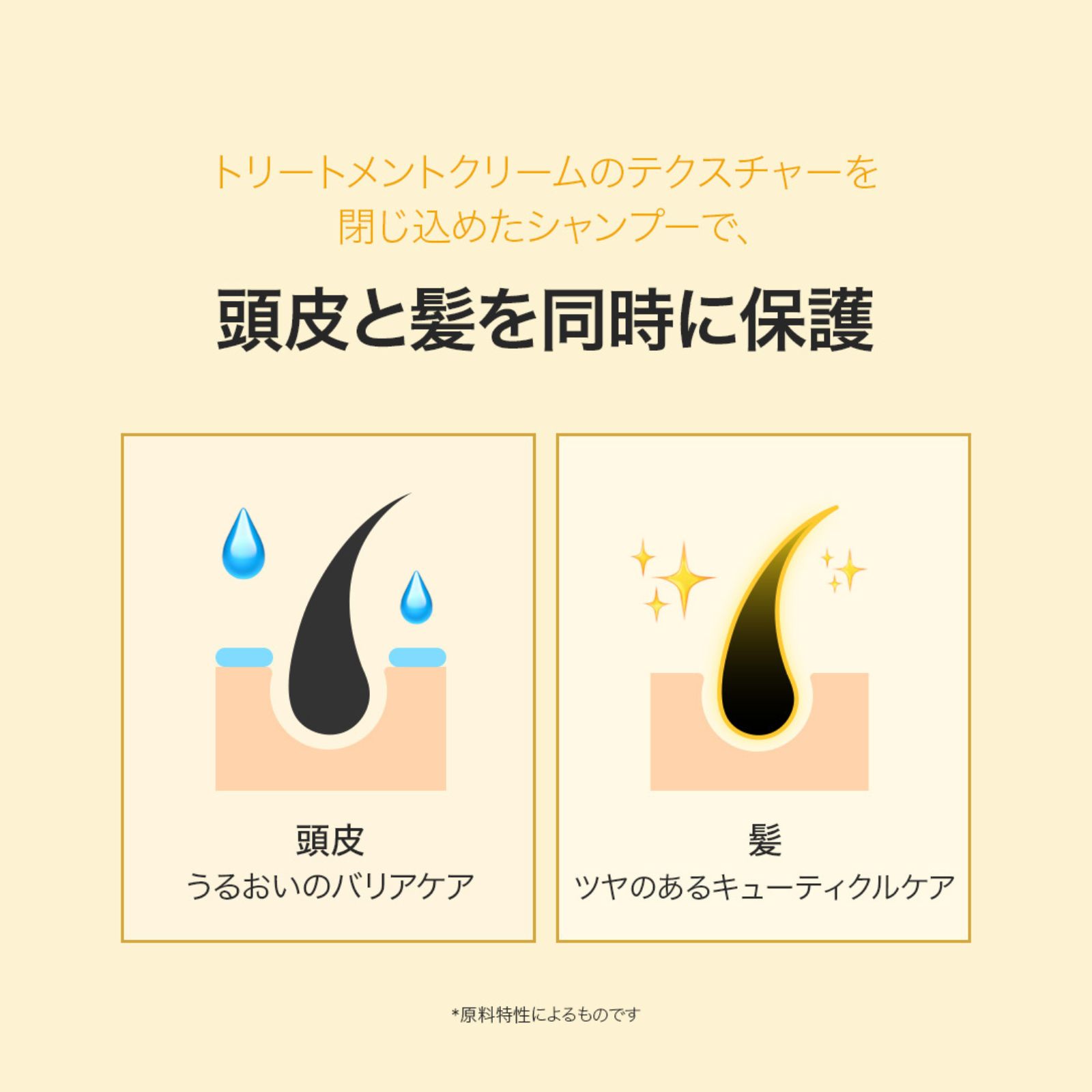 エンリッチドクリームシャンプー