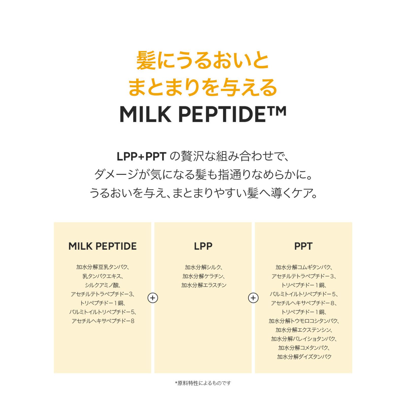 エンリッチドクリームシャンプー