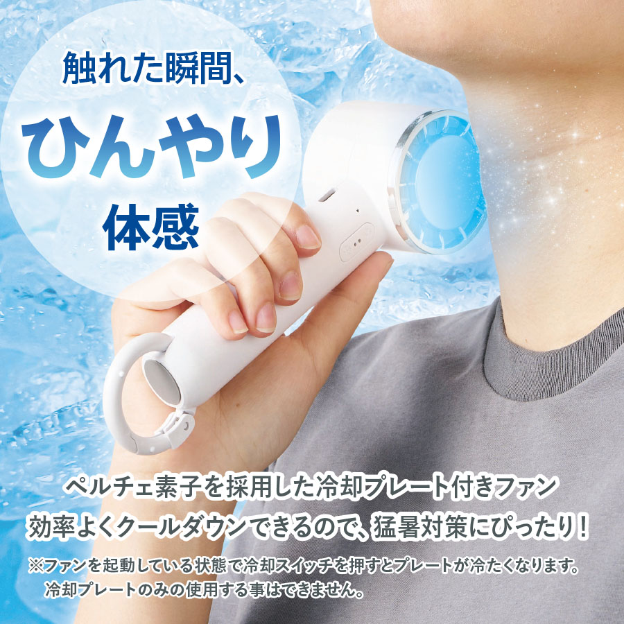 【名入れ】冷却プレートカラビナUSBハンディファン