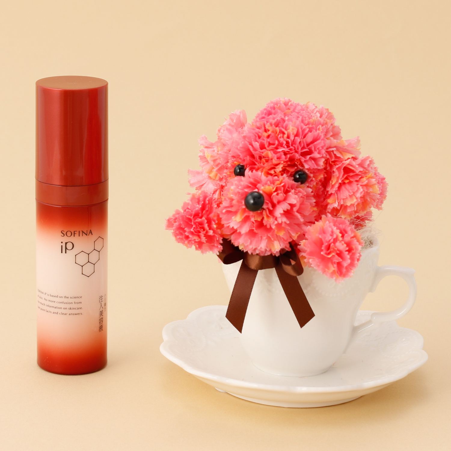 母の日ギフトに！ティーカッププードルのインテリアと美容液のセット