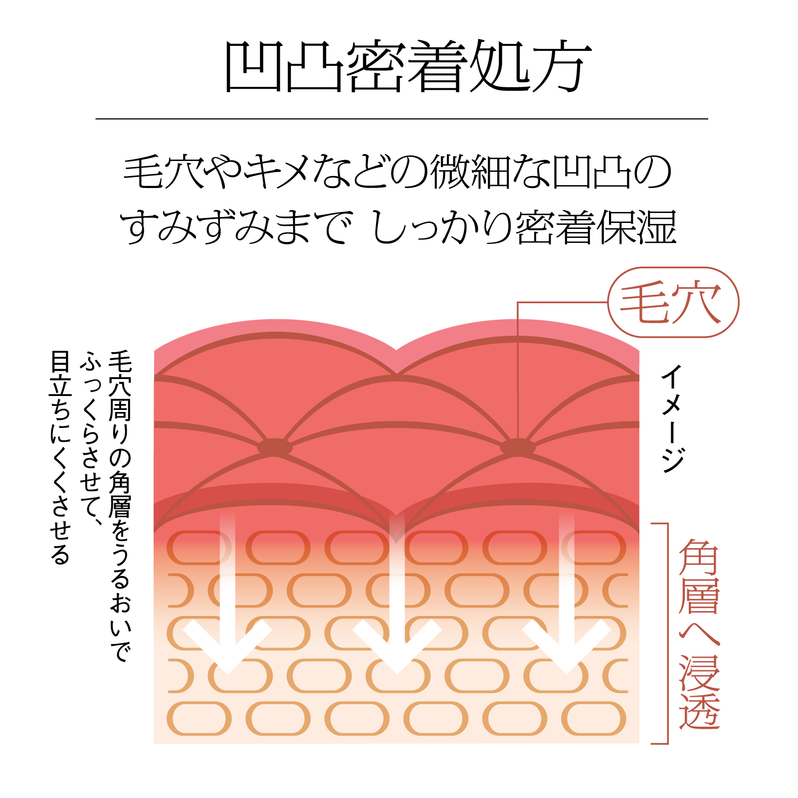 母の日ギフトに！ティーカッププードルのインテリアと美容液のセット