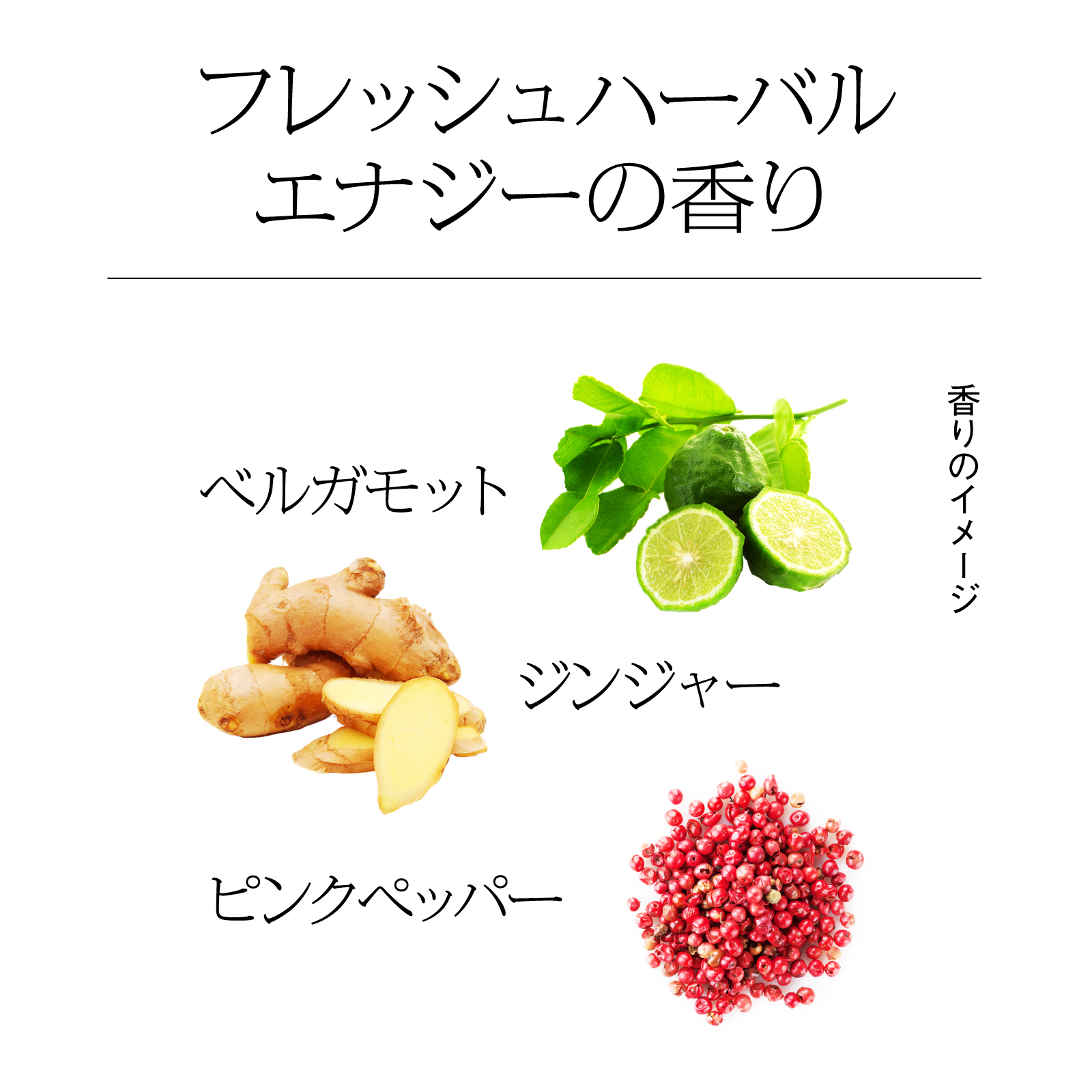 母の日ギフトに！ティーカッププードルのインテリアと美容液のセット